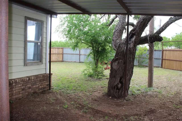 a view of a yard with a tree and a tree
