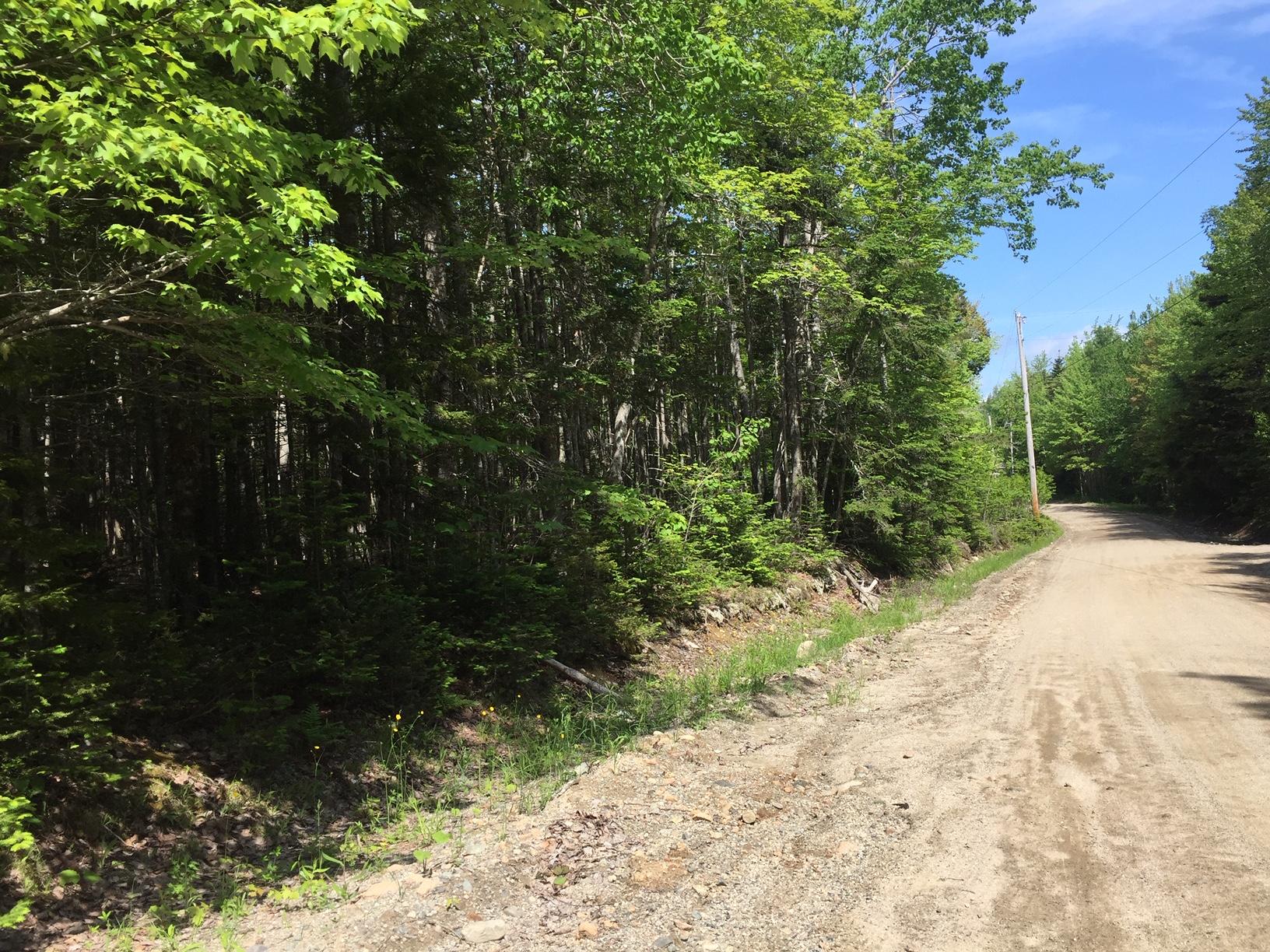 563 Rays Point Road Milbridge, ME 04658 - Photo 10 of 13 IMG_5179