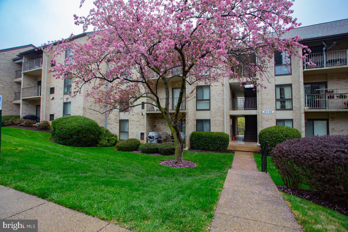 6139 Edsall Road, Unit I Alexandria, VA 22304 - Photo 1 of 26 6139 Edsall Road, Apt. I