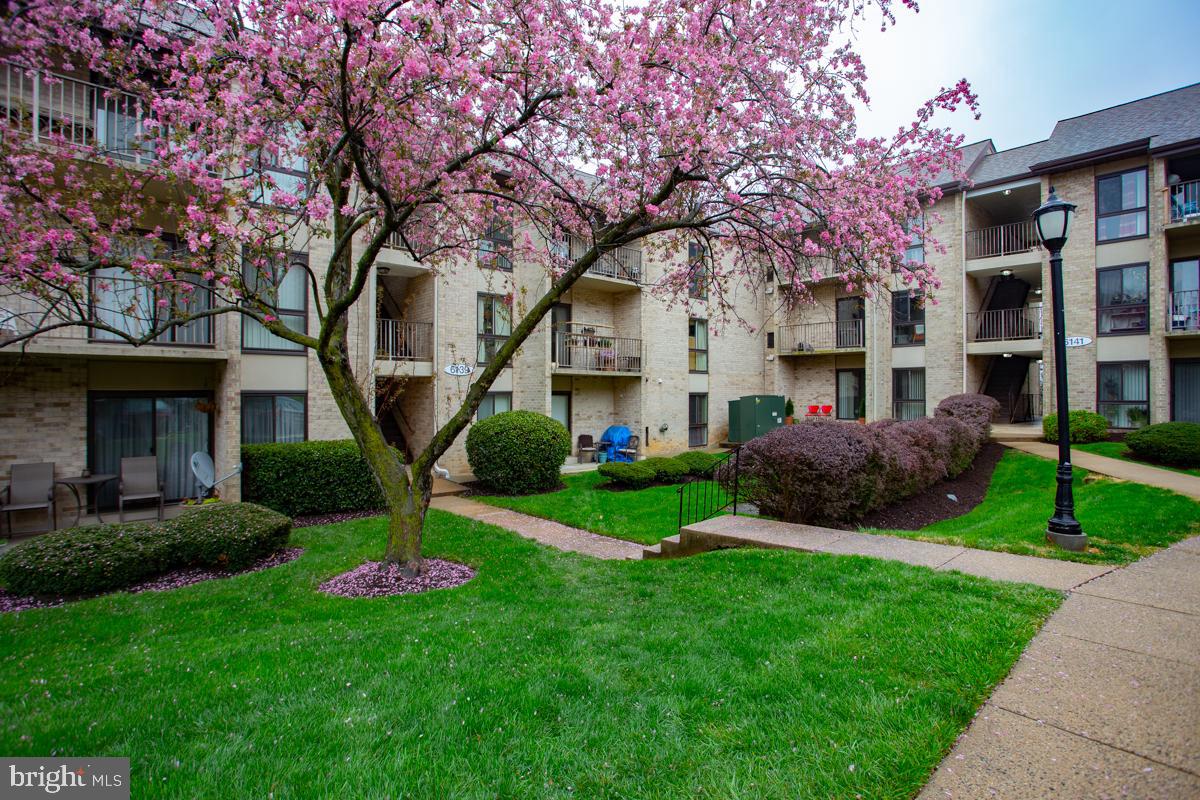 6139 Edsall Road, Unit I Alexandria, VA 22304 - Photo 2 of 26 Quiet community