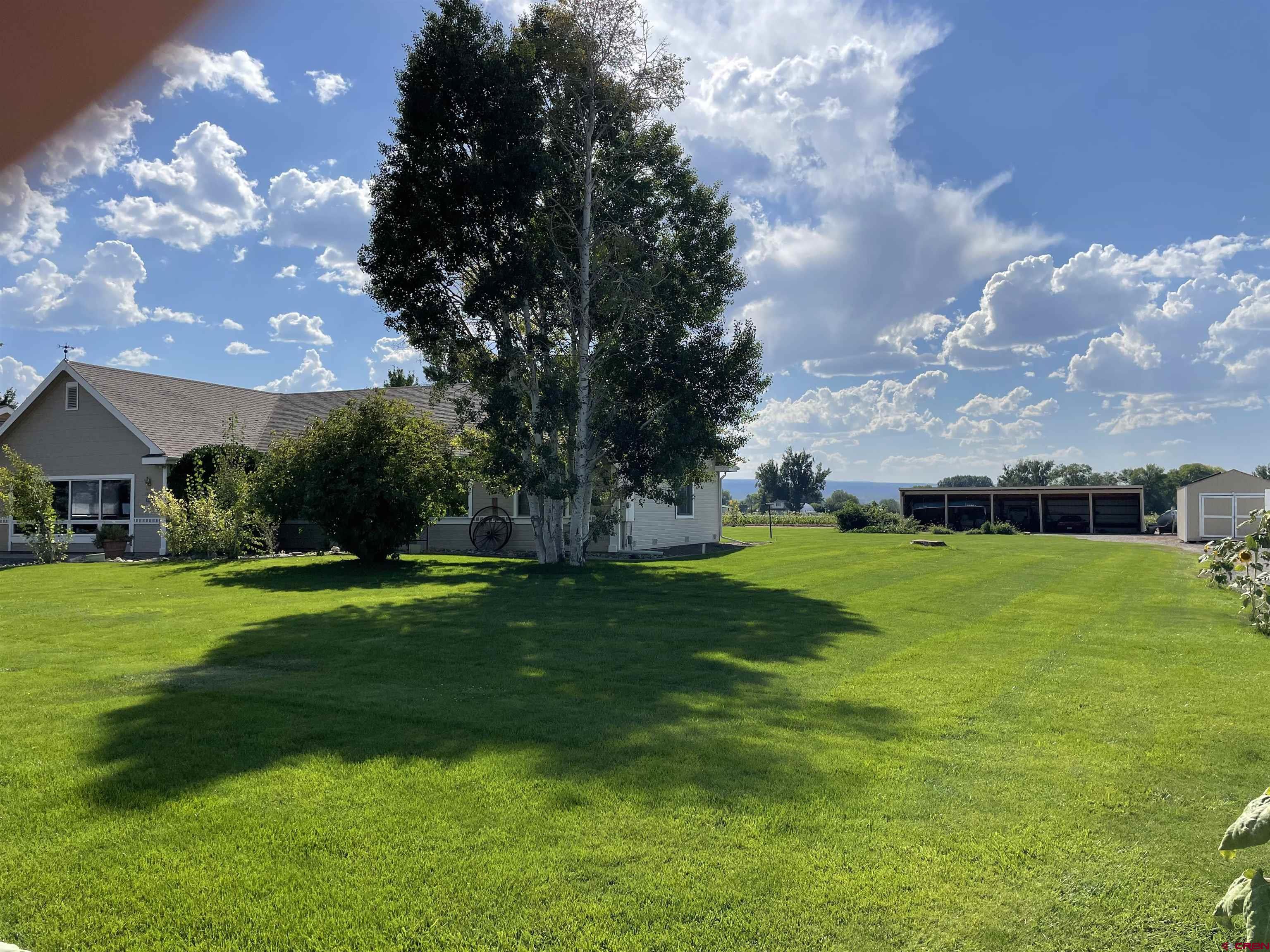 14755 6215th Road Montrose, CO 81403 - Photo 20 of 34 a view of a house with a big yard
