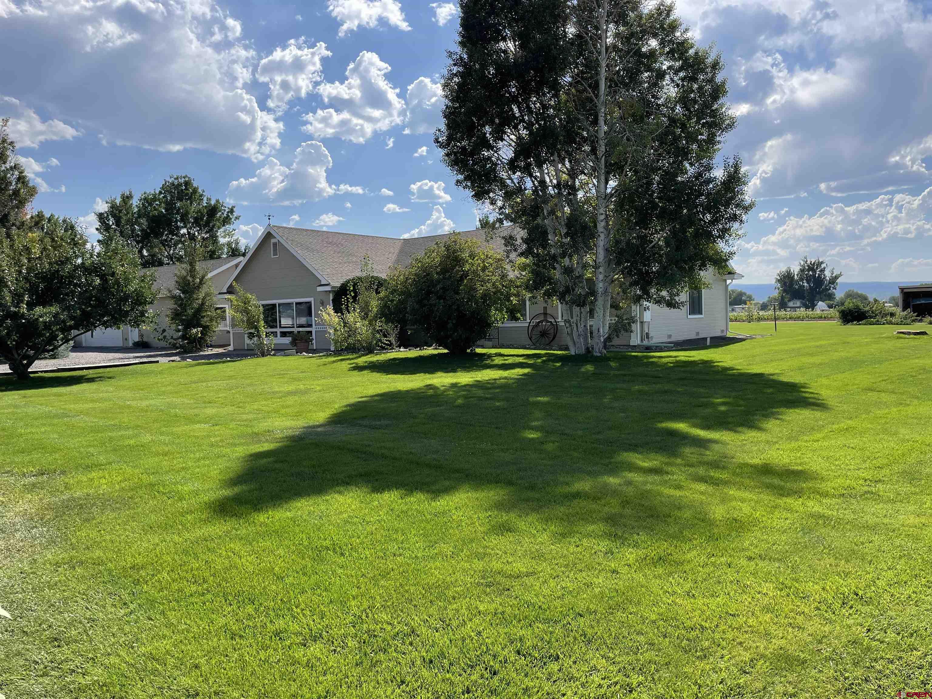 14755 6215th Road Montrose, CO 81403 - Photo 3 of 34 a view of a trees with a big yard