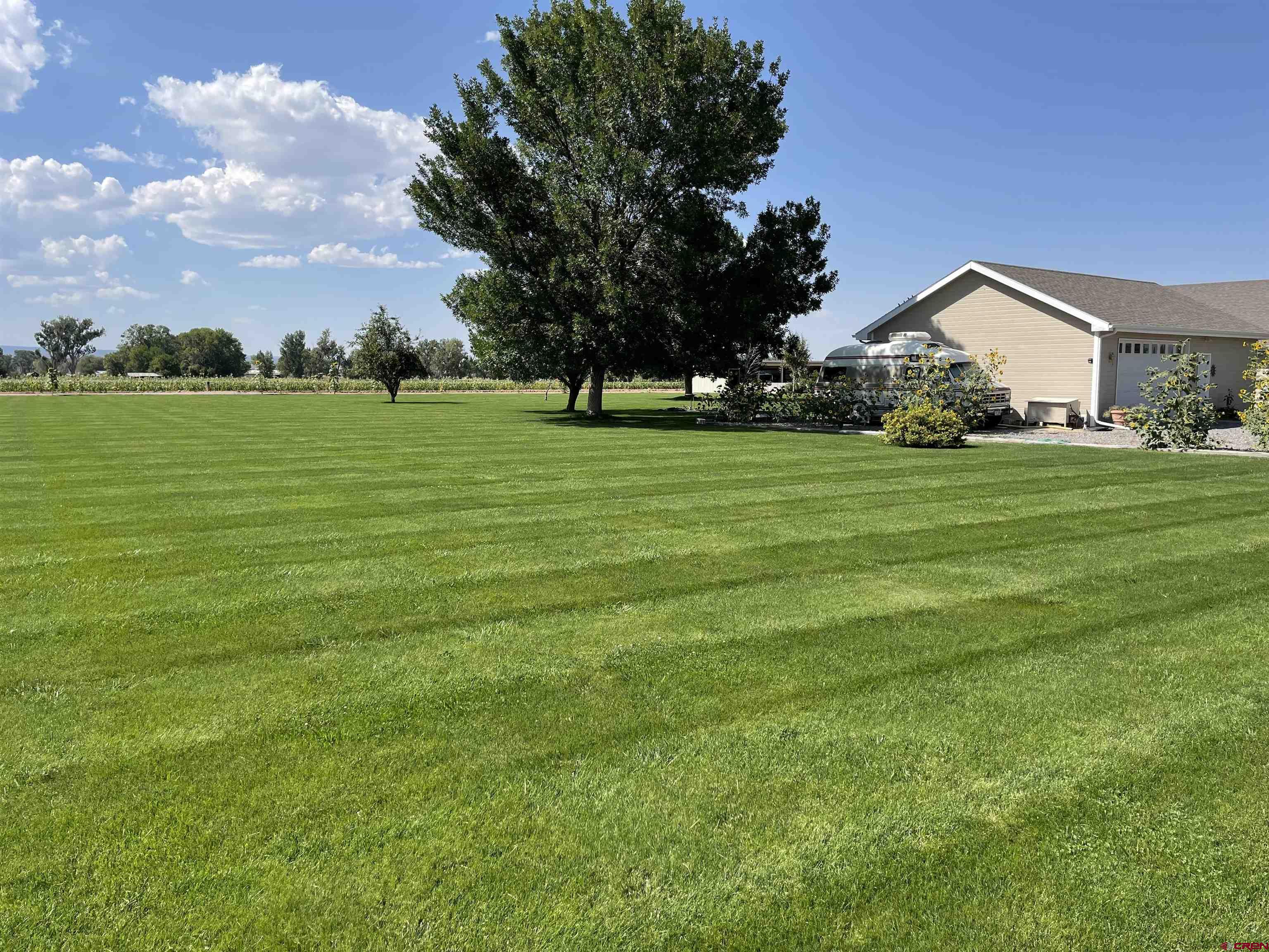 14755 6215th Road Montrose, CO 81403 - Photo 32 of 34 a front view of house with a garden and trees