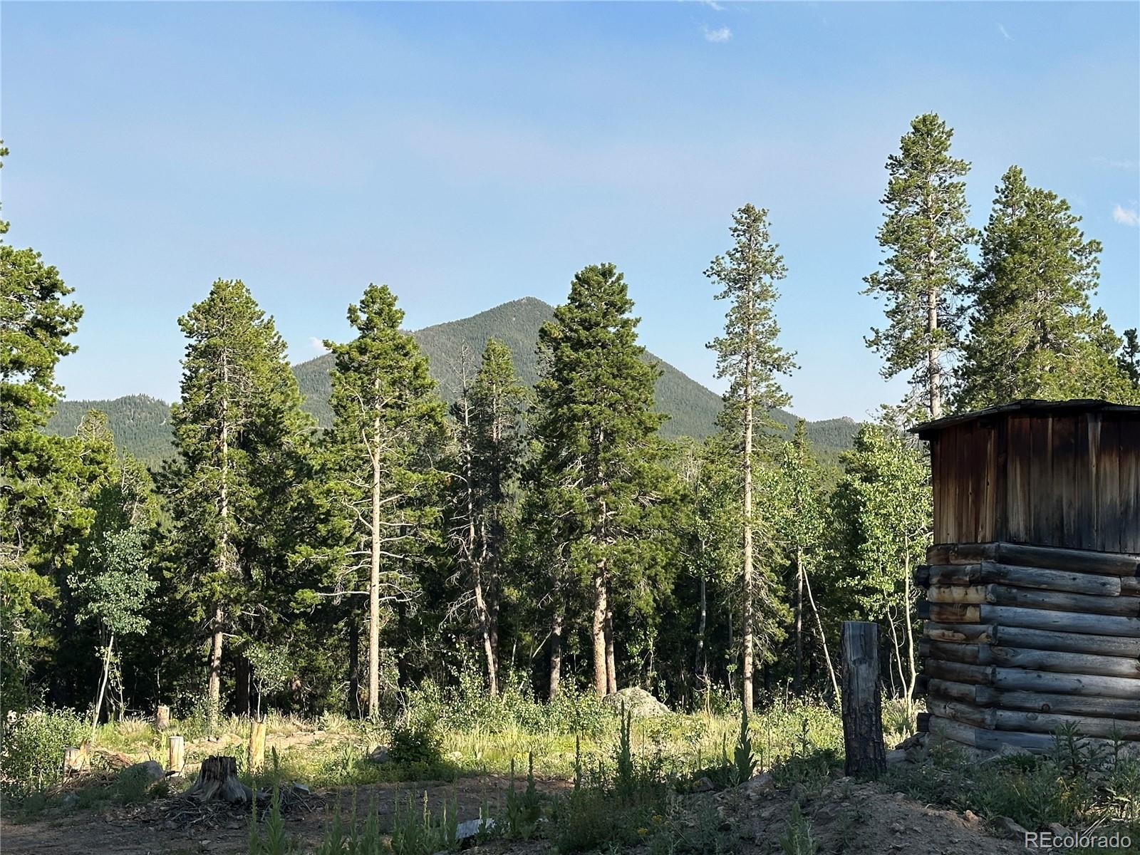Mountain Meadows Black Hawk, CO 80422 - Photo 30 of 33