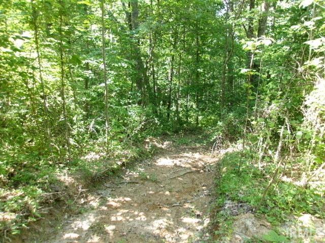 North Ferry Road Bloomfield, IN 47424 - Photo 1 of 13