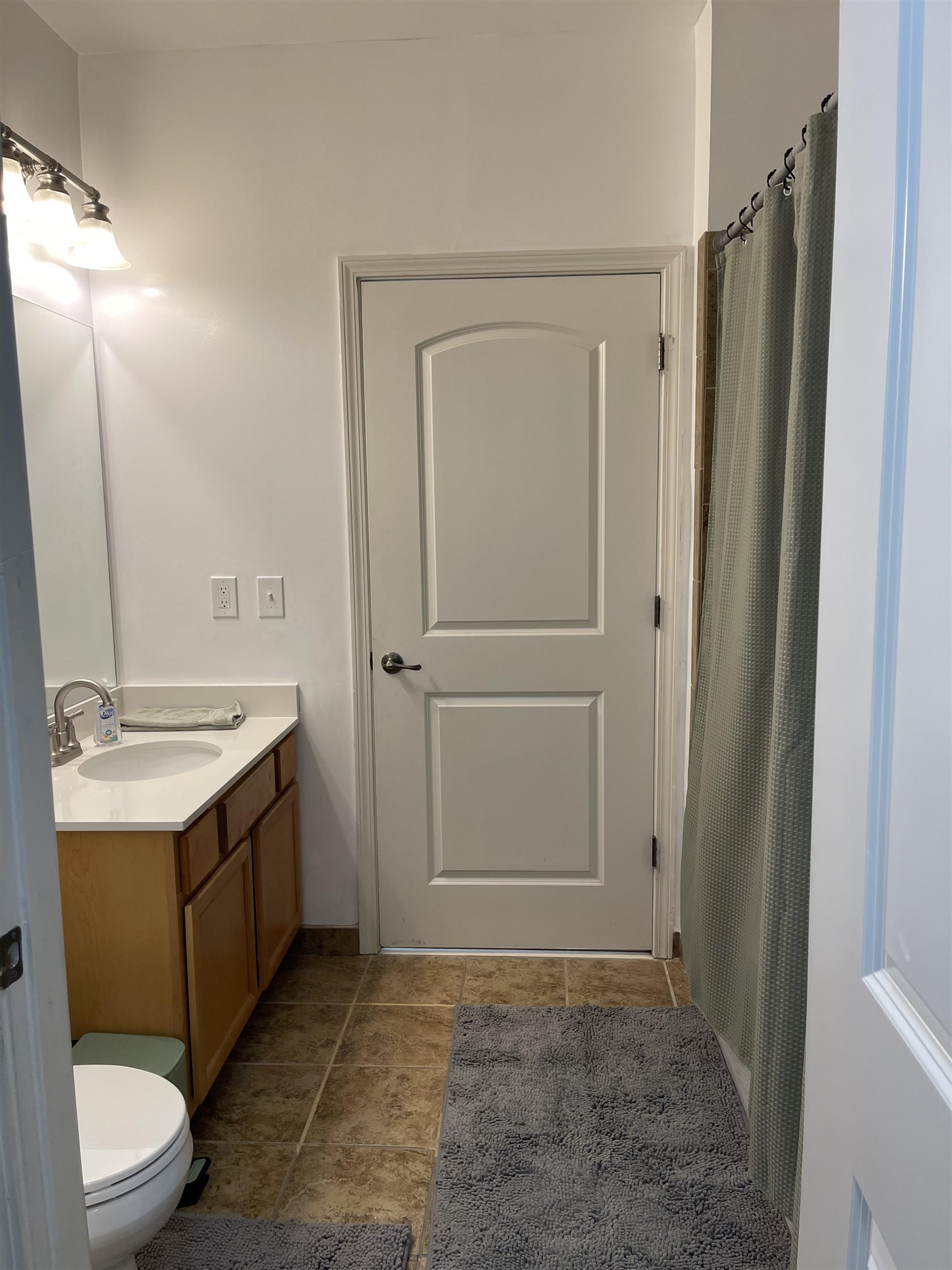 731 Litty Court, Unit 305 Memphis, TN 38103 - Photo 7 of 15 a bathroom with a granite countertop sink toilet and shower