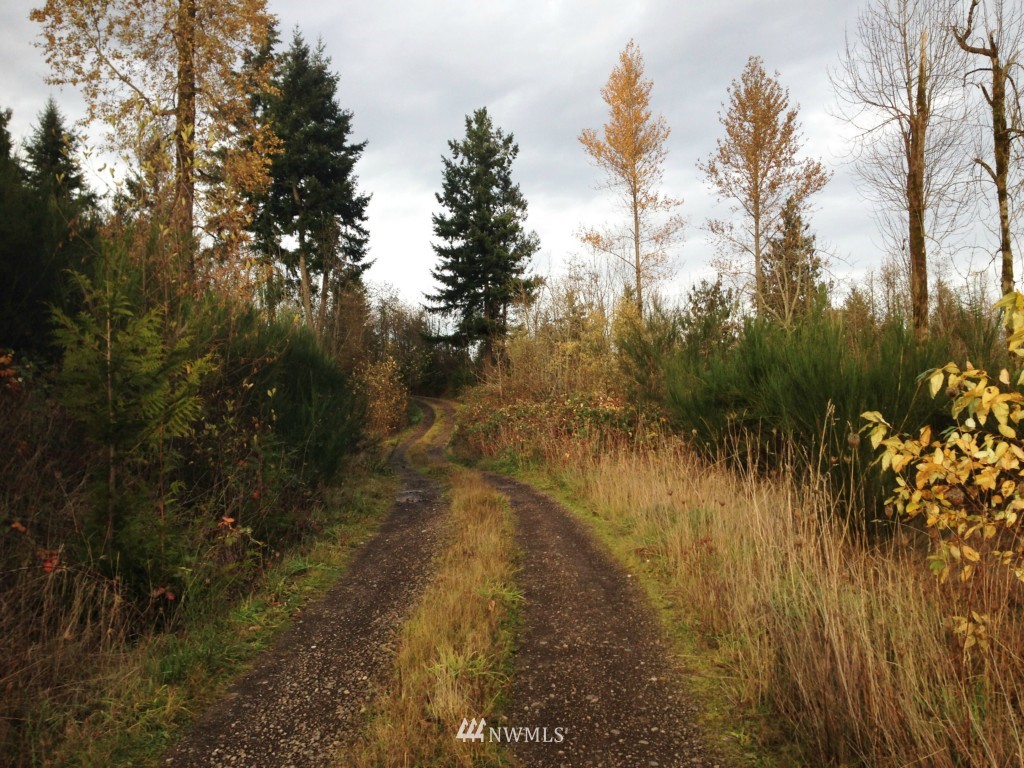 12010 Vail Cut Off Road Southeast Rainier, WA 98576 - Photo 1 of 9 Gallery Image 1