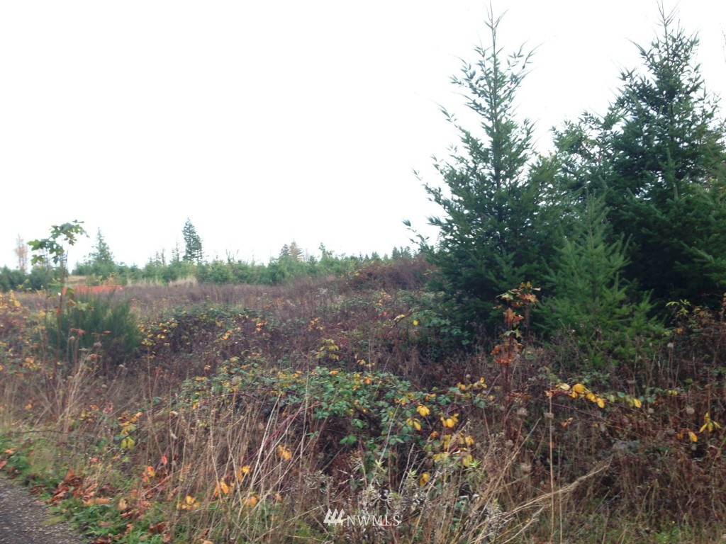 12010 Vail Cut Off Road Southeast Rainier, WA 98576 - Photo 4 of 9 Gallery Image 4