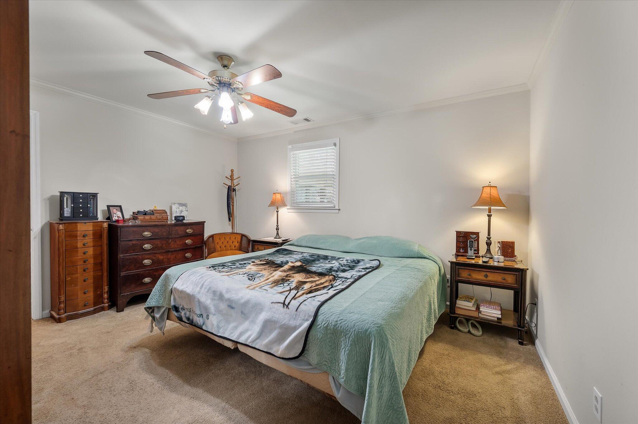 4715 Highway 165 Meggett, SC 29449 - Photo 16 of 46 20-4715 Hwy 165_i_Lowcountry_Exposure-12