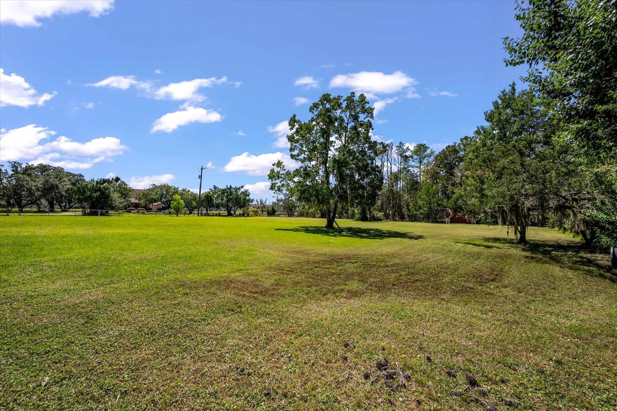 4715 Highway 165 Meggett, SC 29449 - Photo 35 of 46 43-4715 Hwy 165_e_Lowcountry_Exposure-7