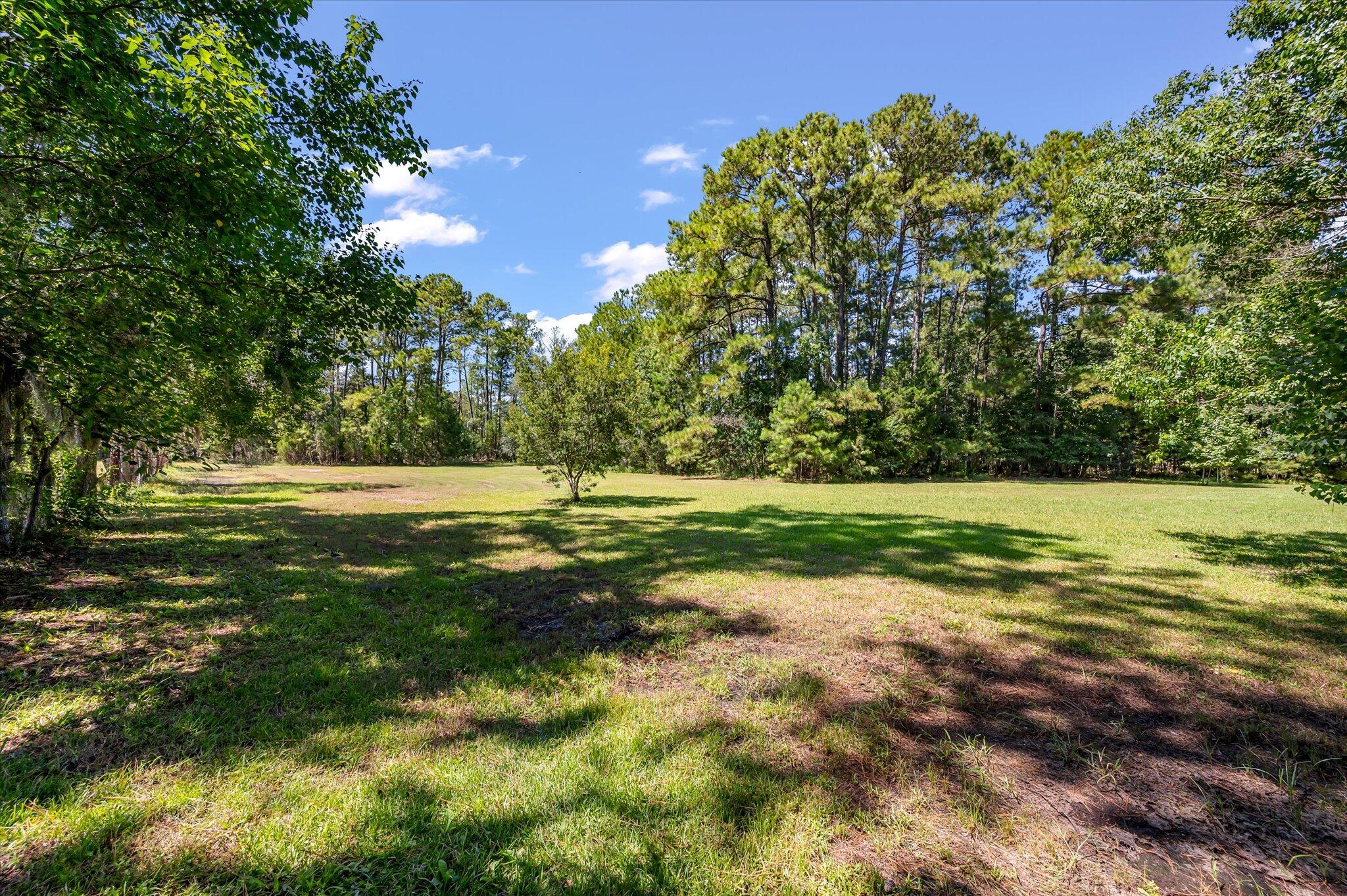 4715 Highway 165 Meggett, SC 29449 - Photo 37 of 46 46-4715 Hwy 165_e_Lowcountry_Exposure-11