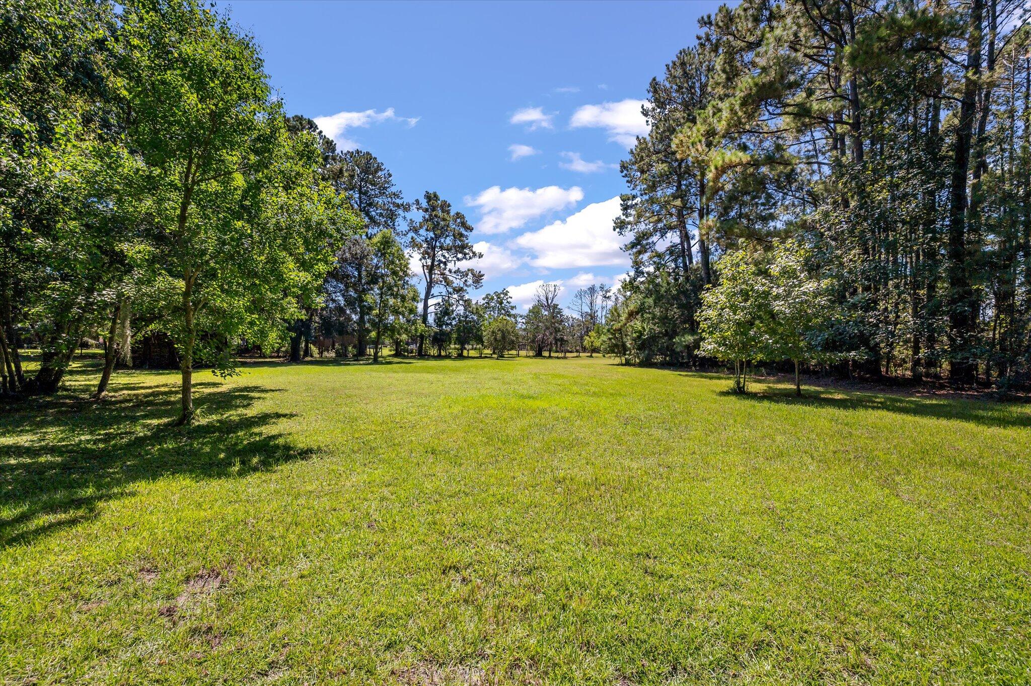 4715 Highway 165 Meggett, SC 29449 - Photo 39 of 46 48-4715 Hwy 165_e_Lowcountry_Exposure-13