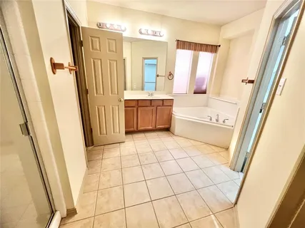 a bathroom with a sink a mirror a bathtub and a shower
