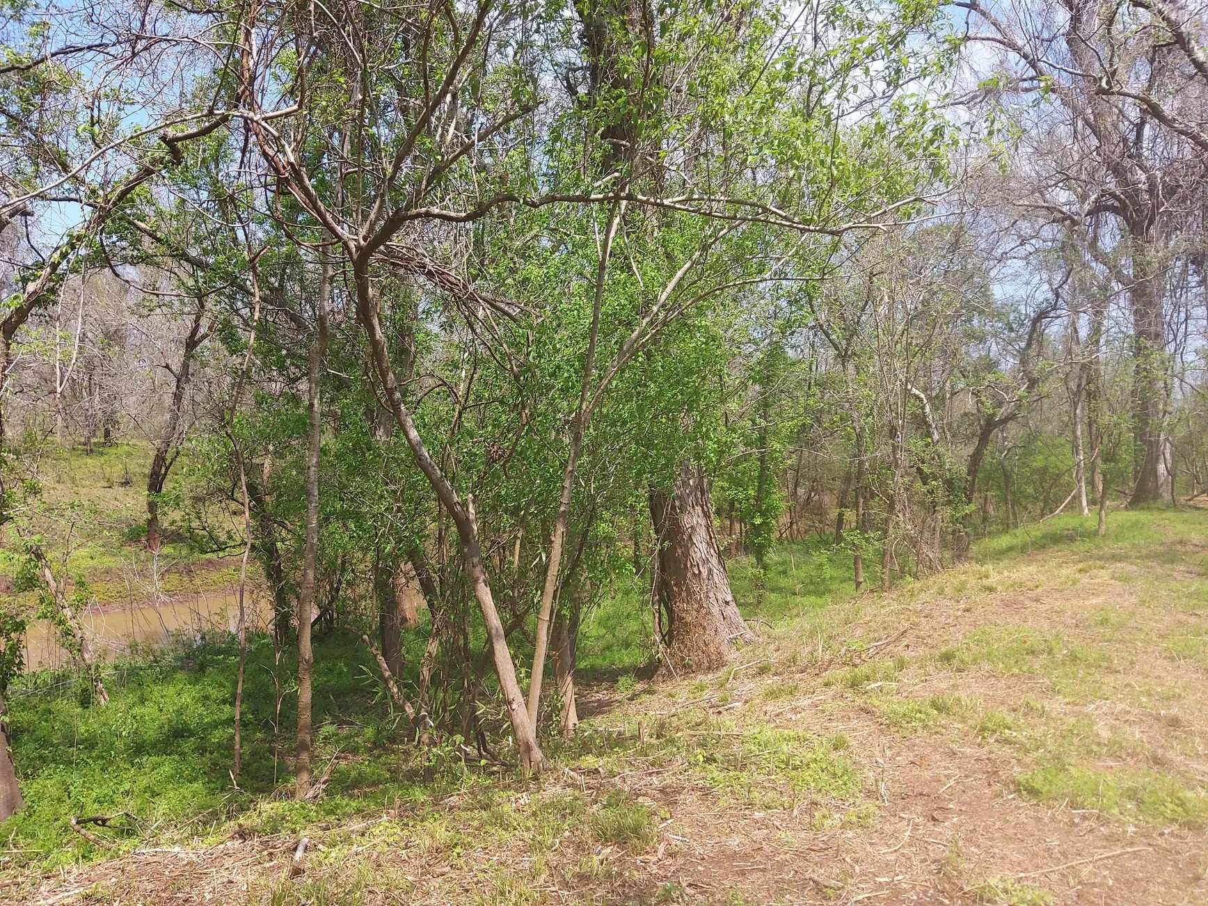 Lot 1 FM 521 Road Angleton, TX 77515 - Photo 25 of 34