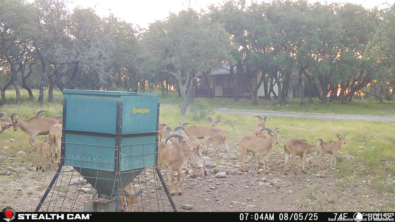1305 Camino Real Road Junction, TX 76849 - Photo 27 of 34