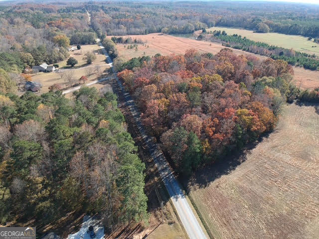 a view of a dry yard with trees