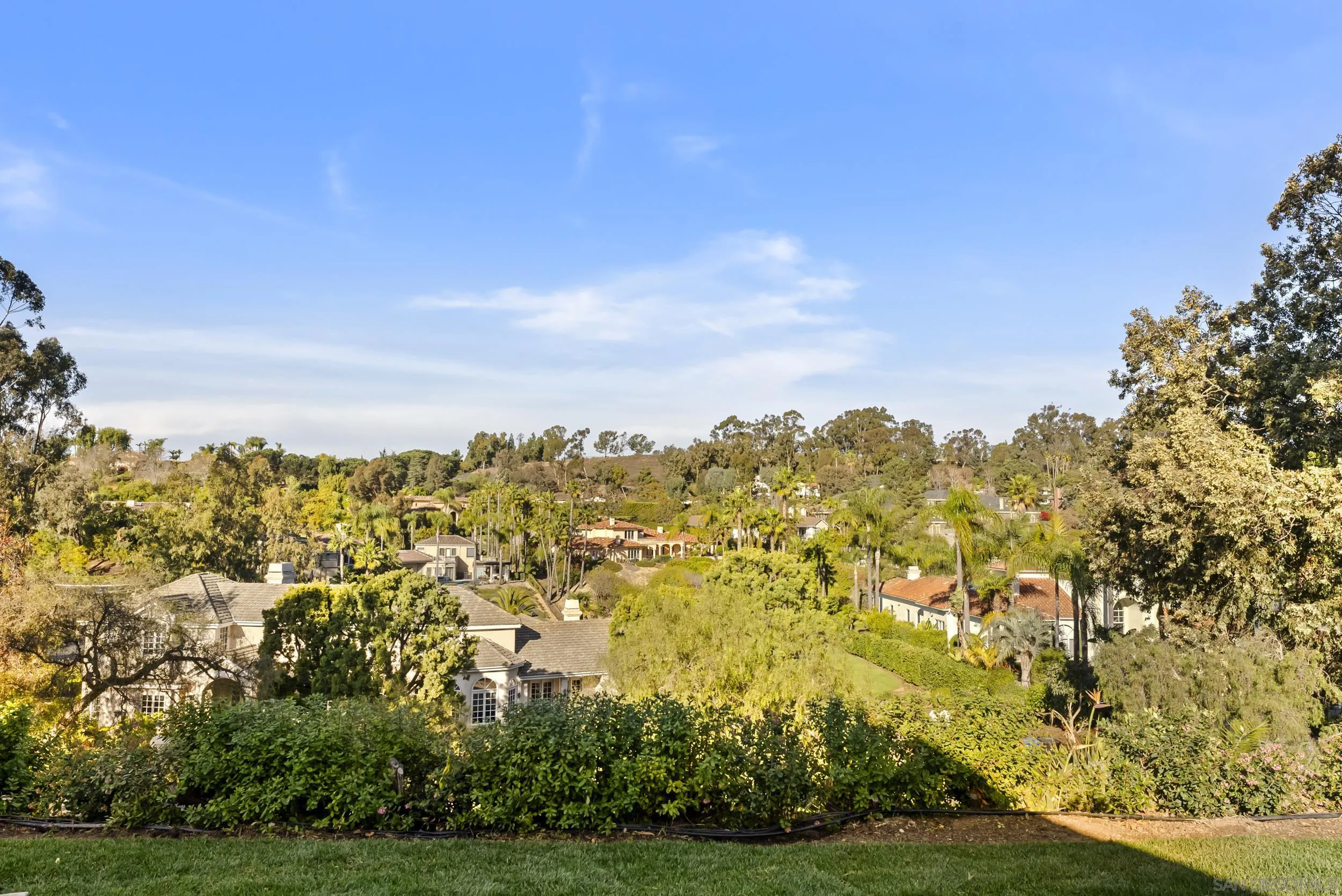 Beautiful view off the back yard.