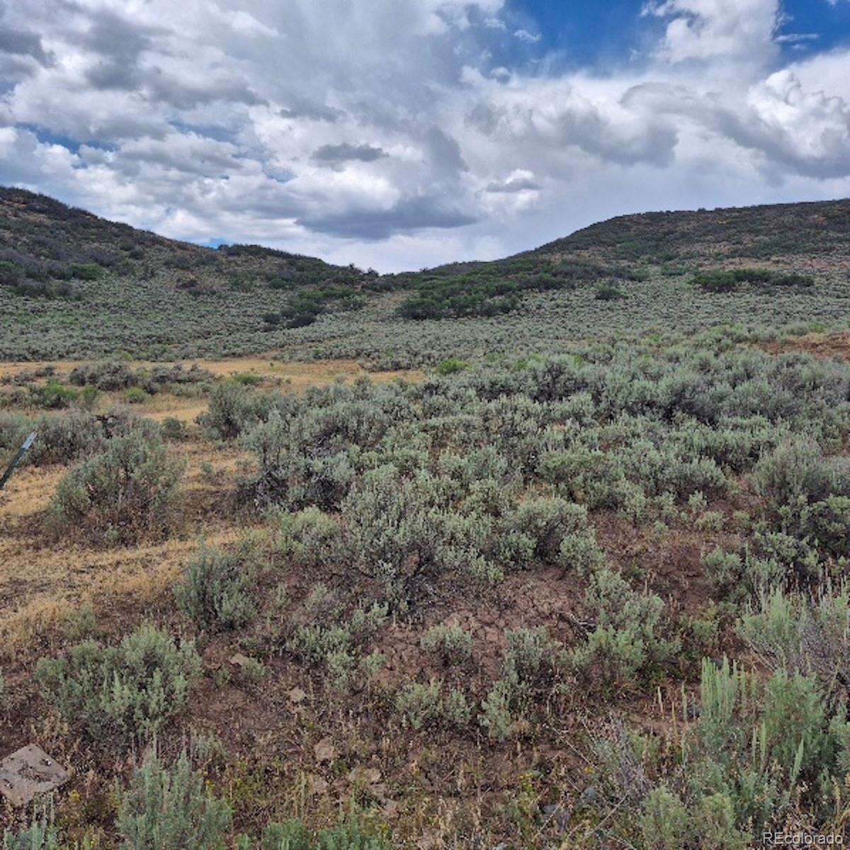 0 Harrison Creek Road Collbran, CO 81624 - Photo 19 of 40 Gallery Image 19