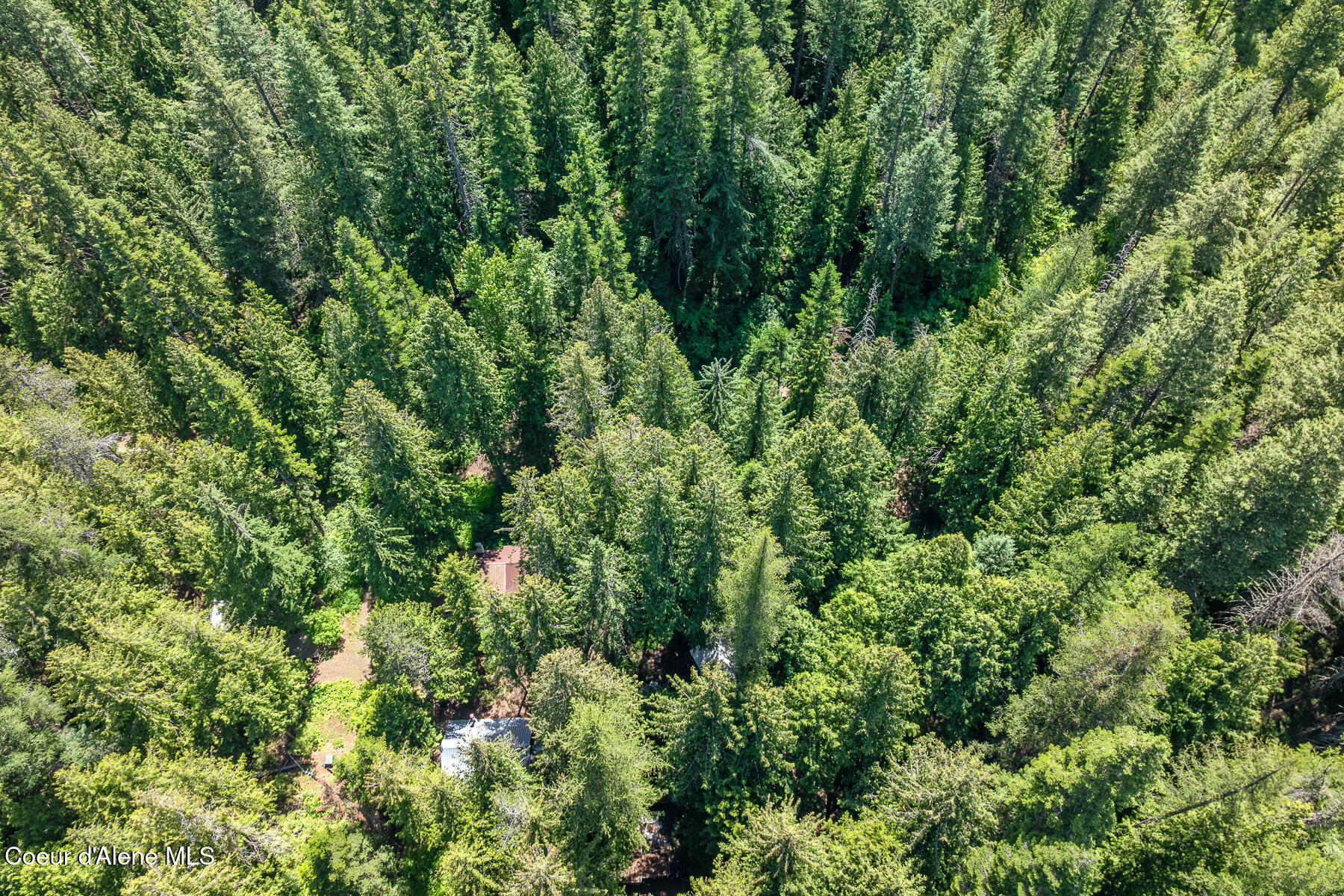 6877 West Lower Excelsior Beach Shore Rathdrum, ID 83858 - Photo 16 of 47 Aerial Exelsior Beach Cabin