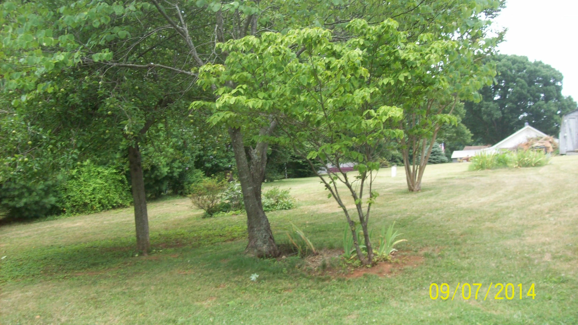 41 Ruritan Road Rocky Mount, VA 24151 - Photo 20 of 22 yard