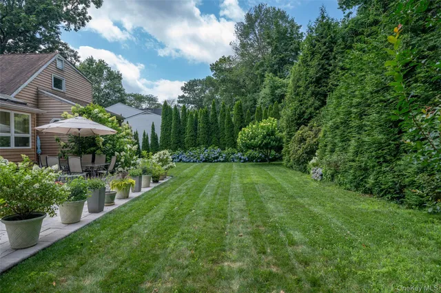 a view of a big yard with plants and large trees