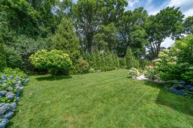 a view of a house with a big yard plants and large trees
