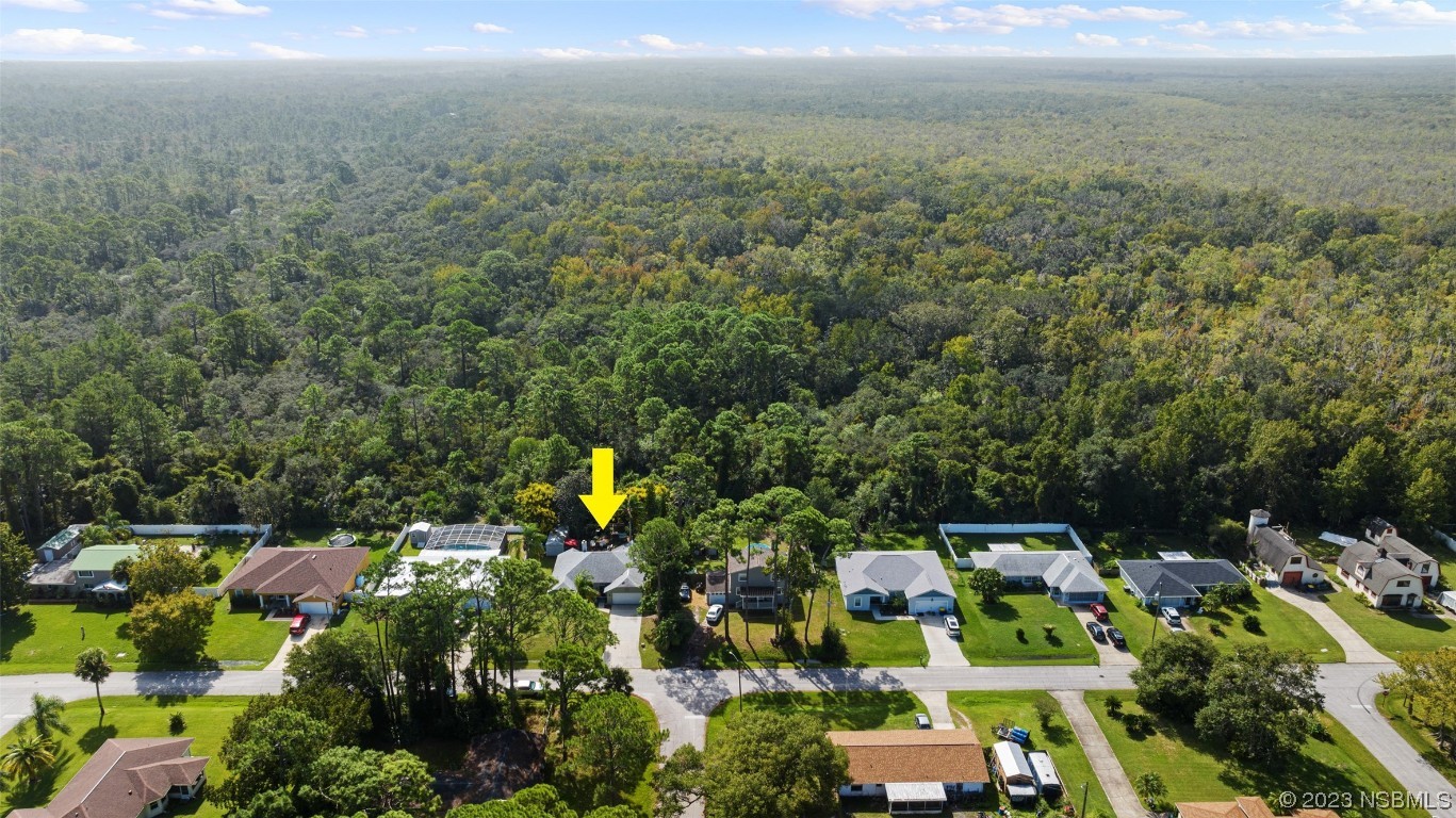 2617 35th Street Edgewater, FL 32141 - Photo 42 of 43 a view of a house with a garden