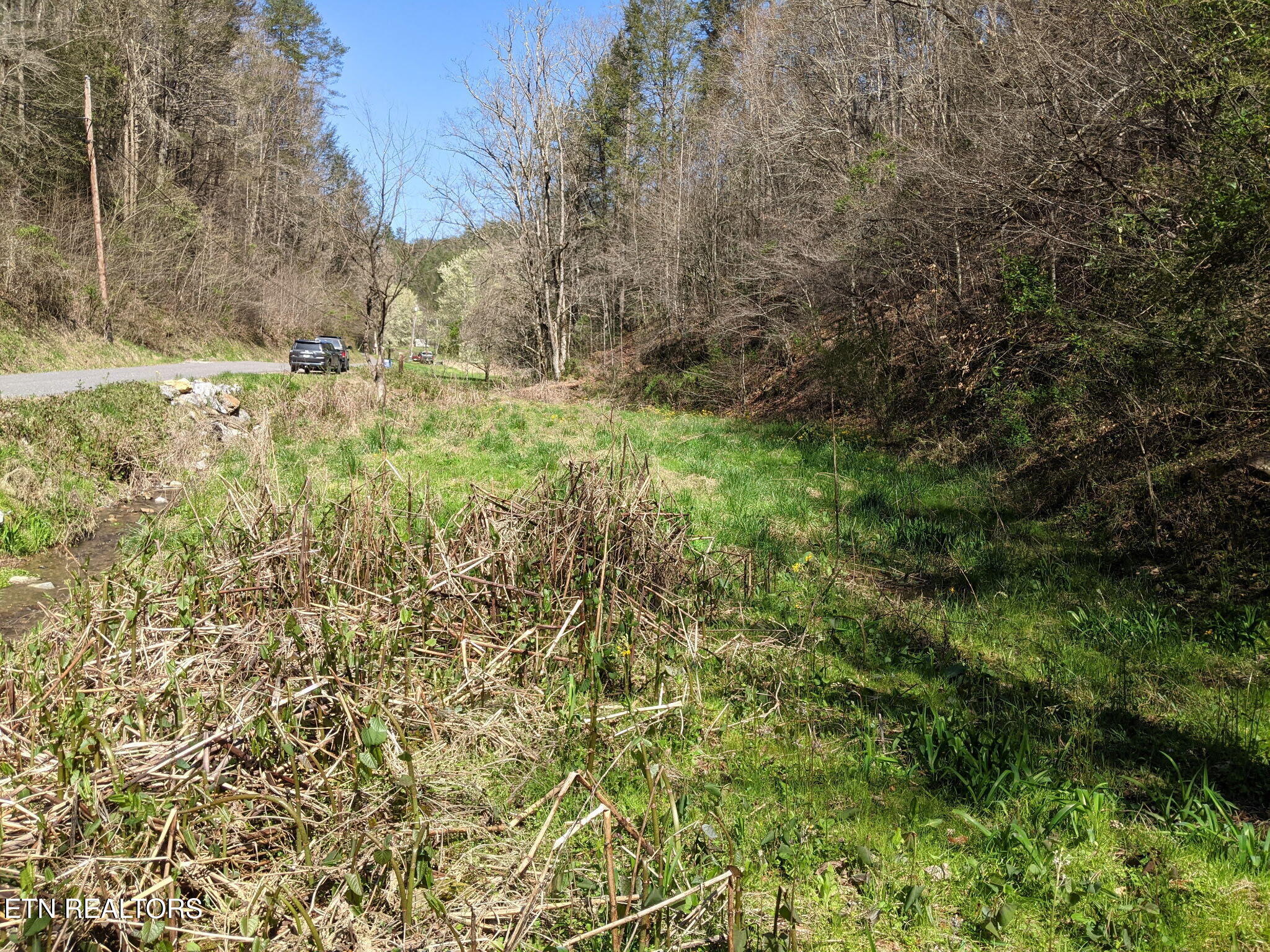 760 Black Branch Road Del Rio, TN 37727 - Photo 11 of 16 760 Black Branch Rd