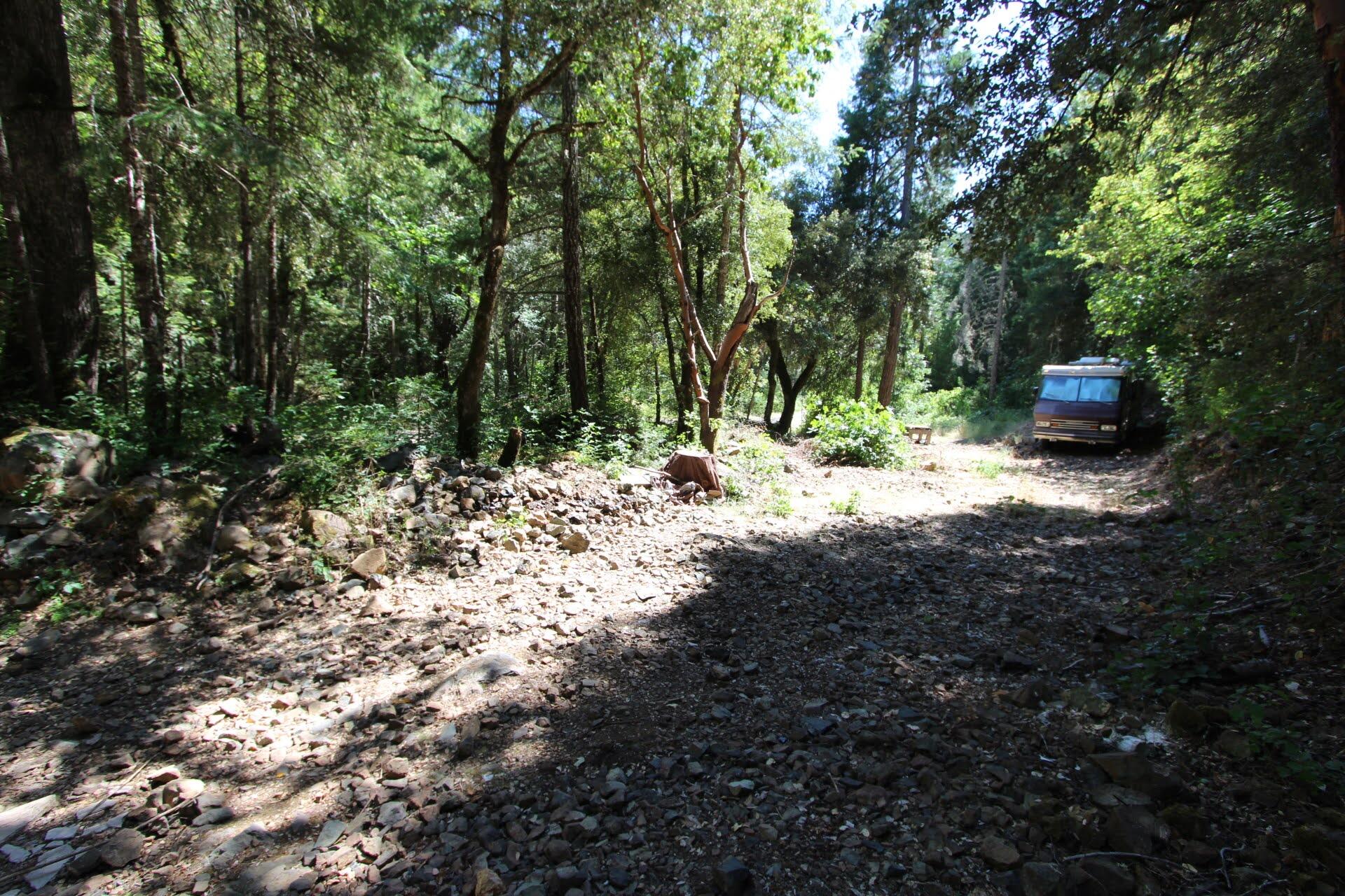 114 Forest Creek Road Selma, OR 97538 - Photo 3 of 27 IMG_4911