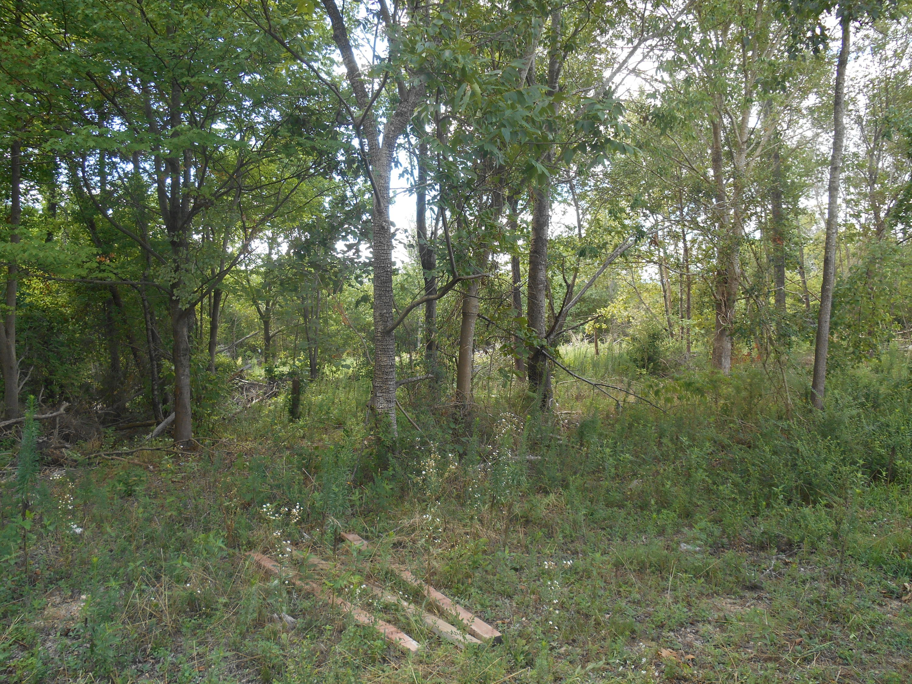5309 North Marble Top Road Chickamauga, GA 30707 - Photo 12 of 12 DSCN0371