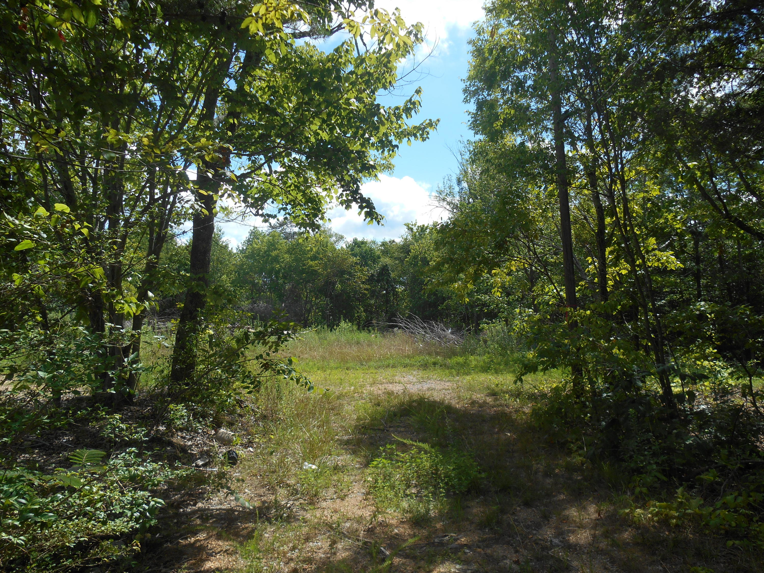 5309 North Marble Top Road Chickamauga, GA 30707 - Photo 10 of 12 DSCN0365