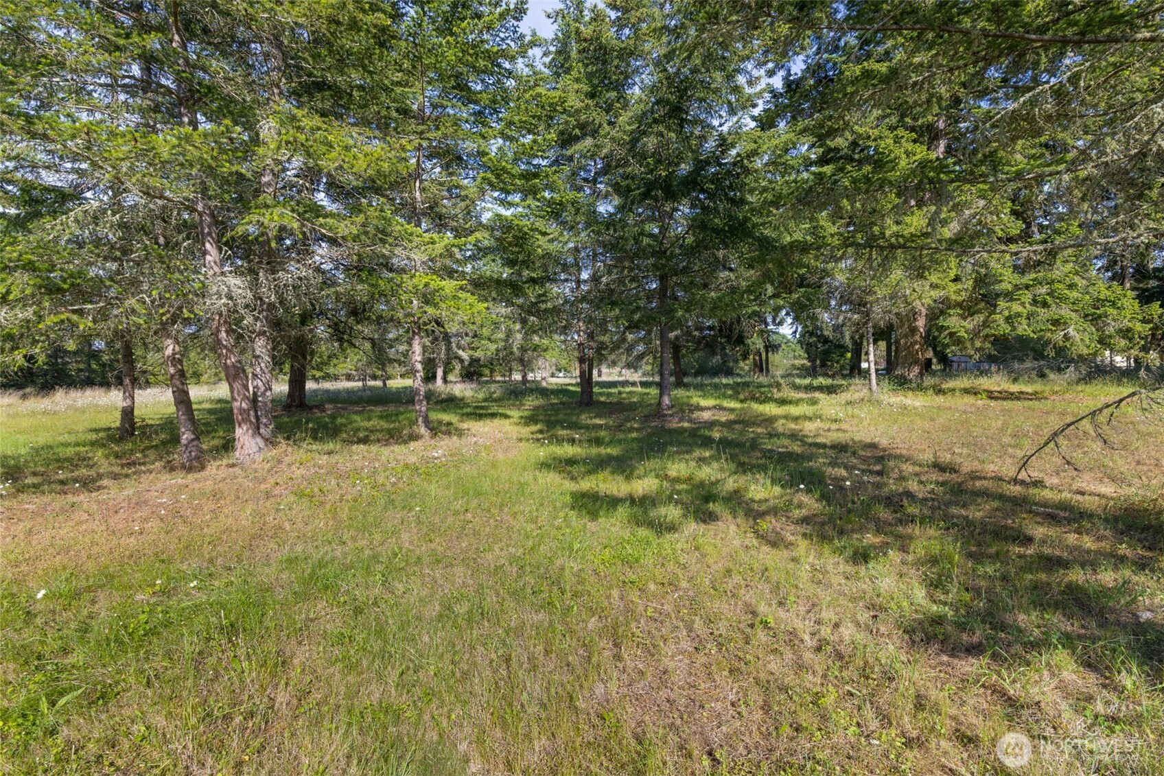 405 Riverside Road, Unit LOT C Sequim, WA 98382 - Photo 10 of 39