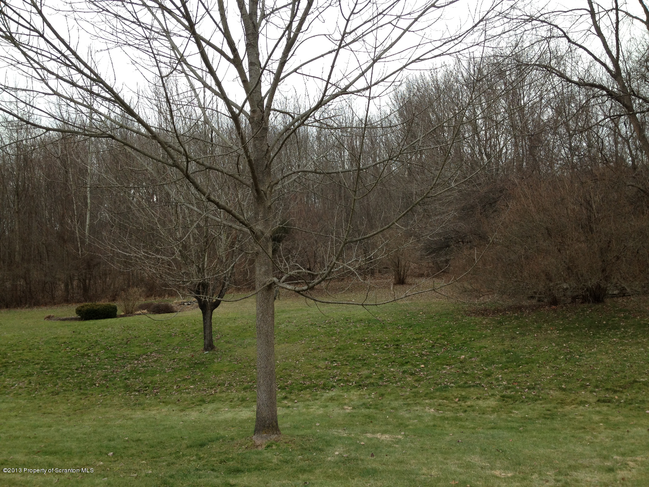 276 Lane Hill Road Tunkhannock, PA 18657 - Photo 13 of 13 a backyard of a house with lots of green space