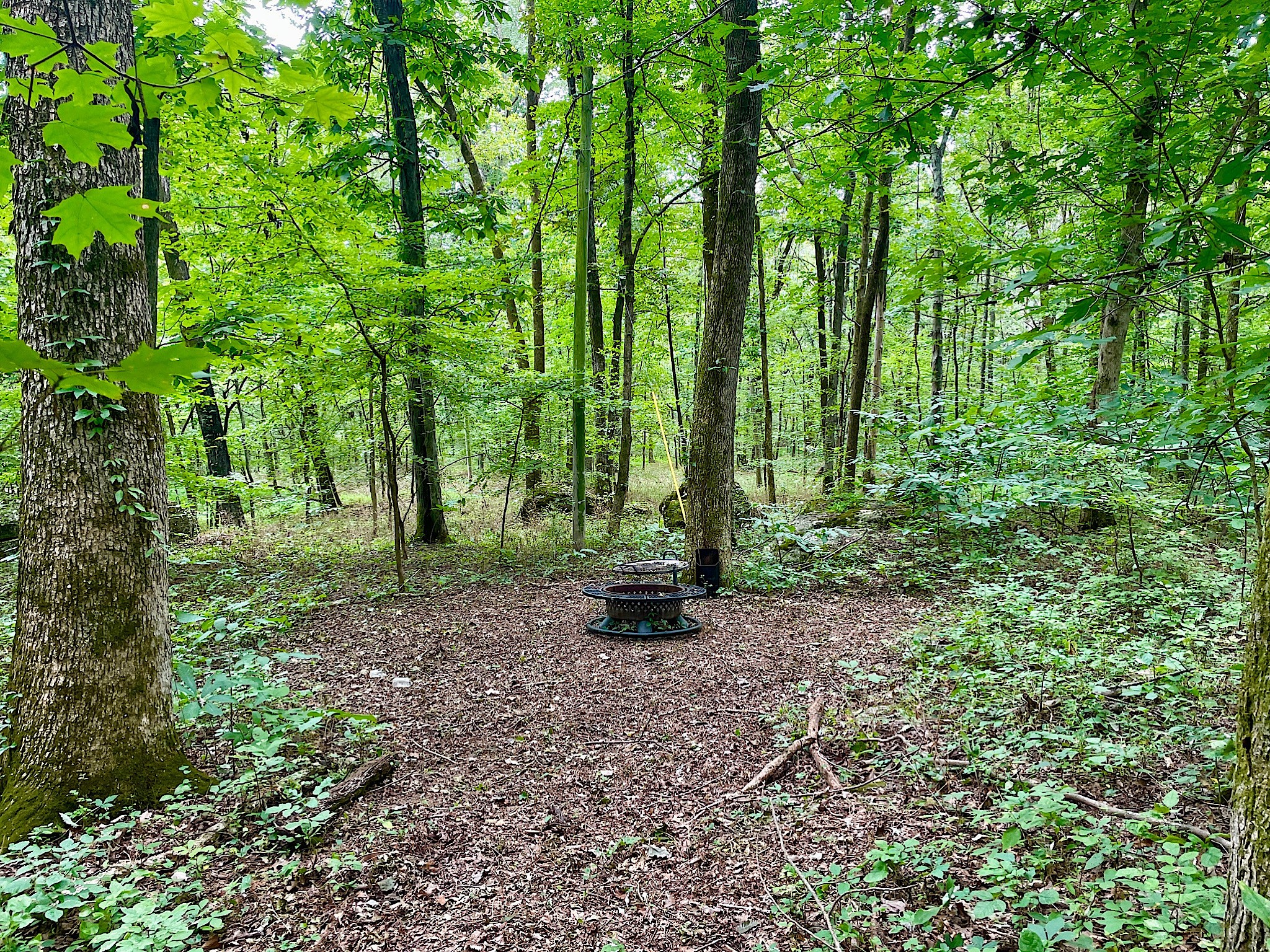 1988 Hidden Hills Road Pulaski, TN 38478 - Photo 30 of 52