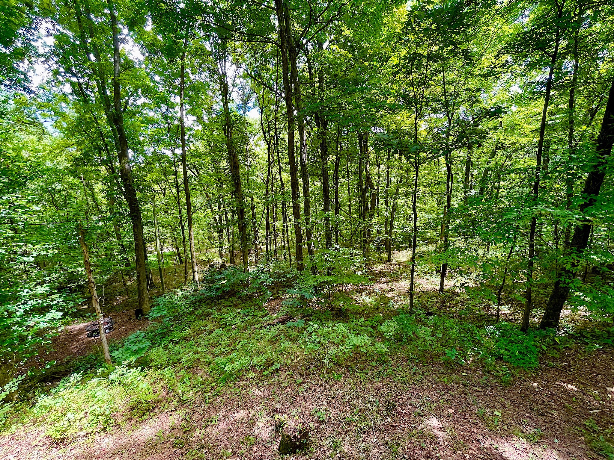 1988 Hidden Hills Road Pulaski, TN 38478 - Photo 31 of 52