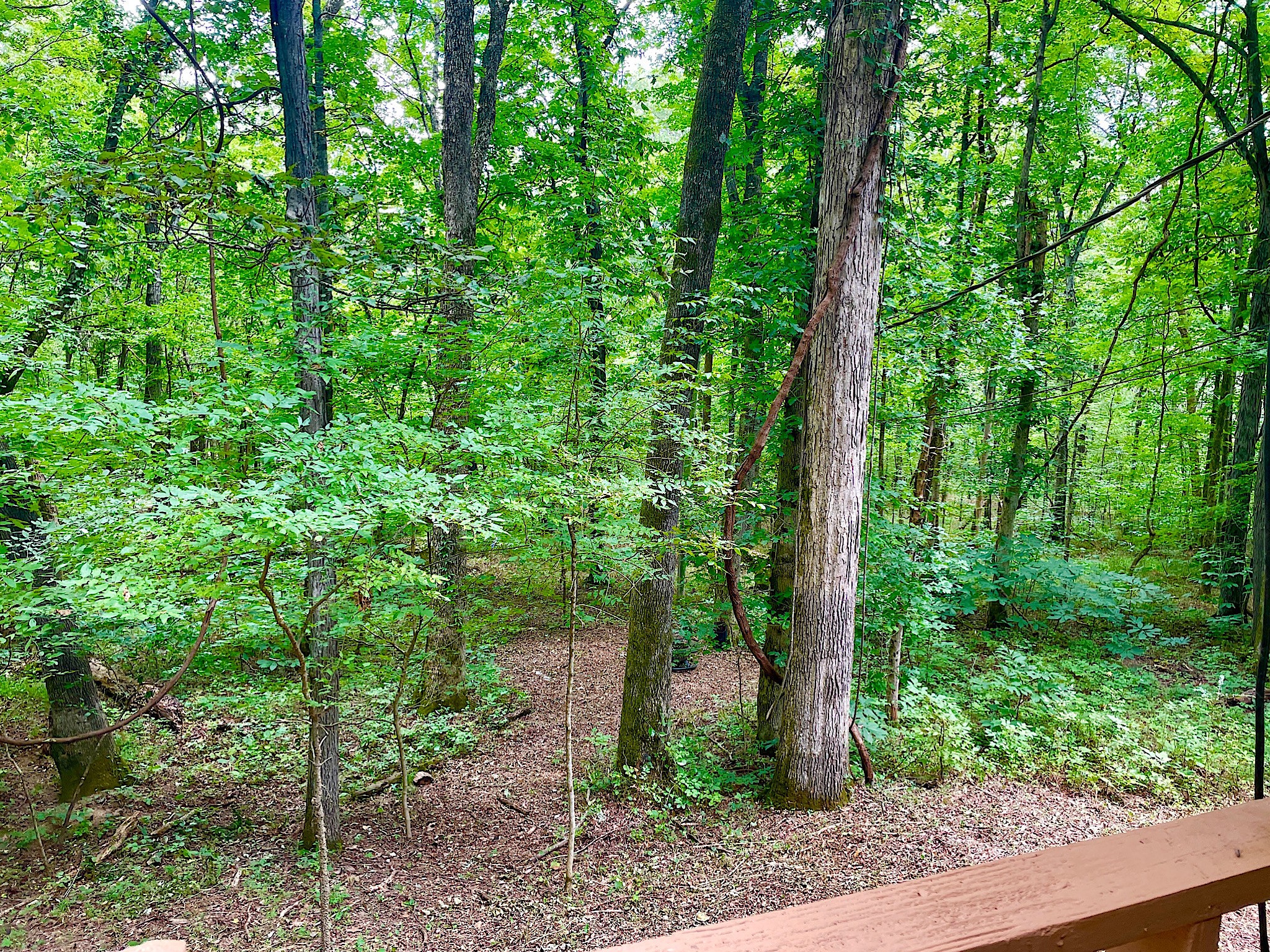 1988 Hidden Hills Road Pulaski, TN 38478 - Photo 32 of 52