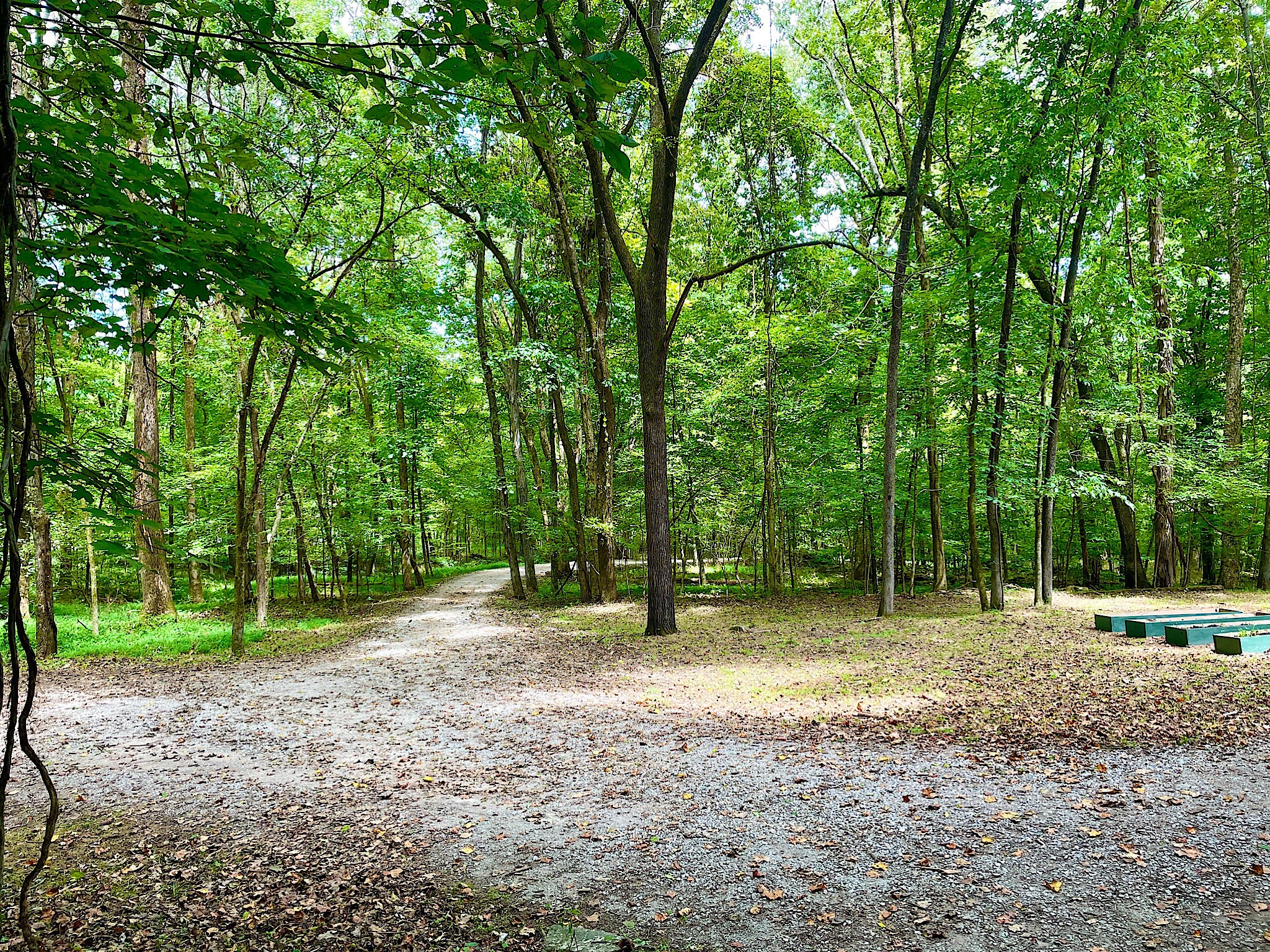 1988 Hidden Hills Road Pulaski, TN 38478 - Photo 38 of 52