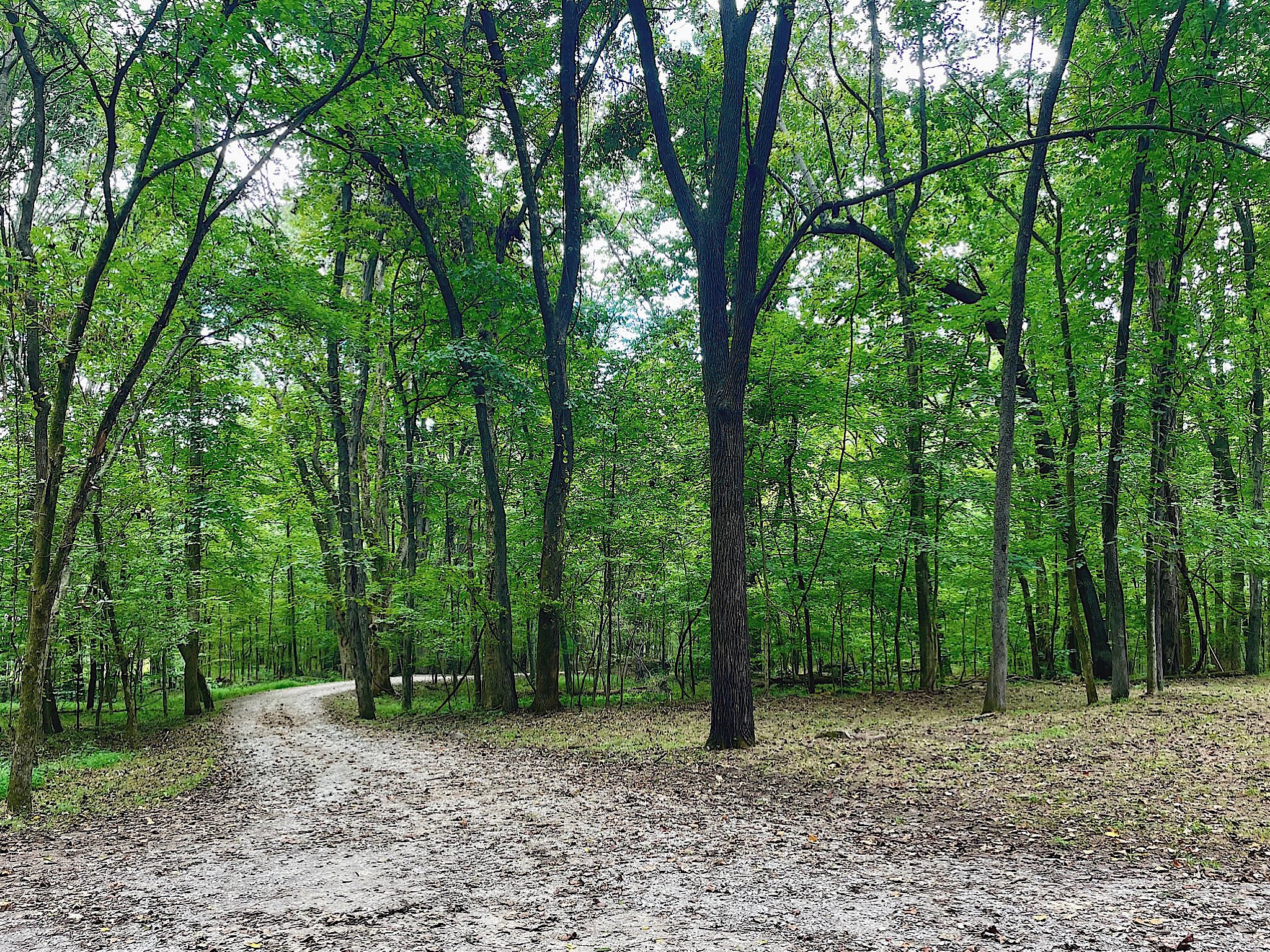 1988 Hidden Hills Road Pulaski, TN 38478 - Photo 44 of 52