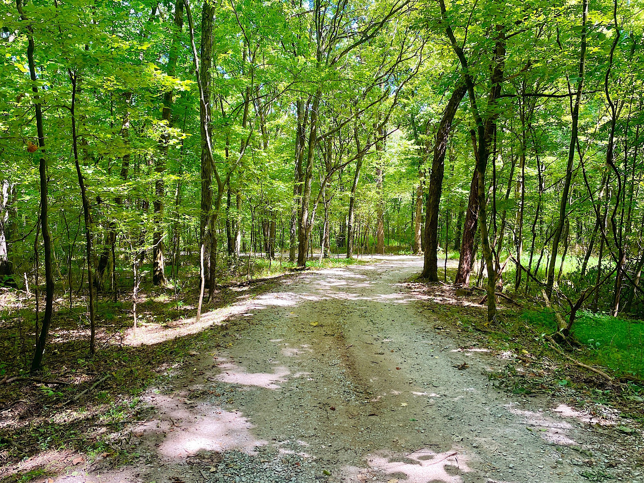 1988 Hidden Hills Road Pulaski, TN 38478 - Photo 47 of 52