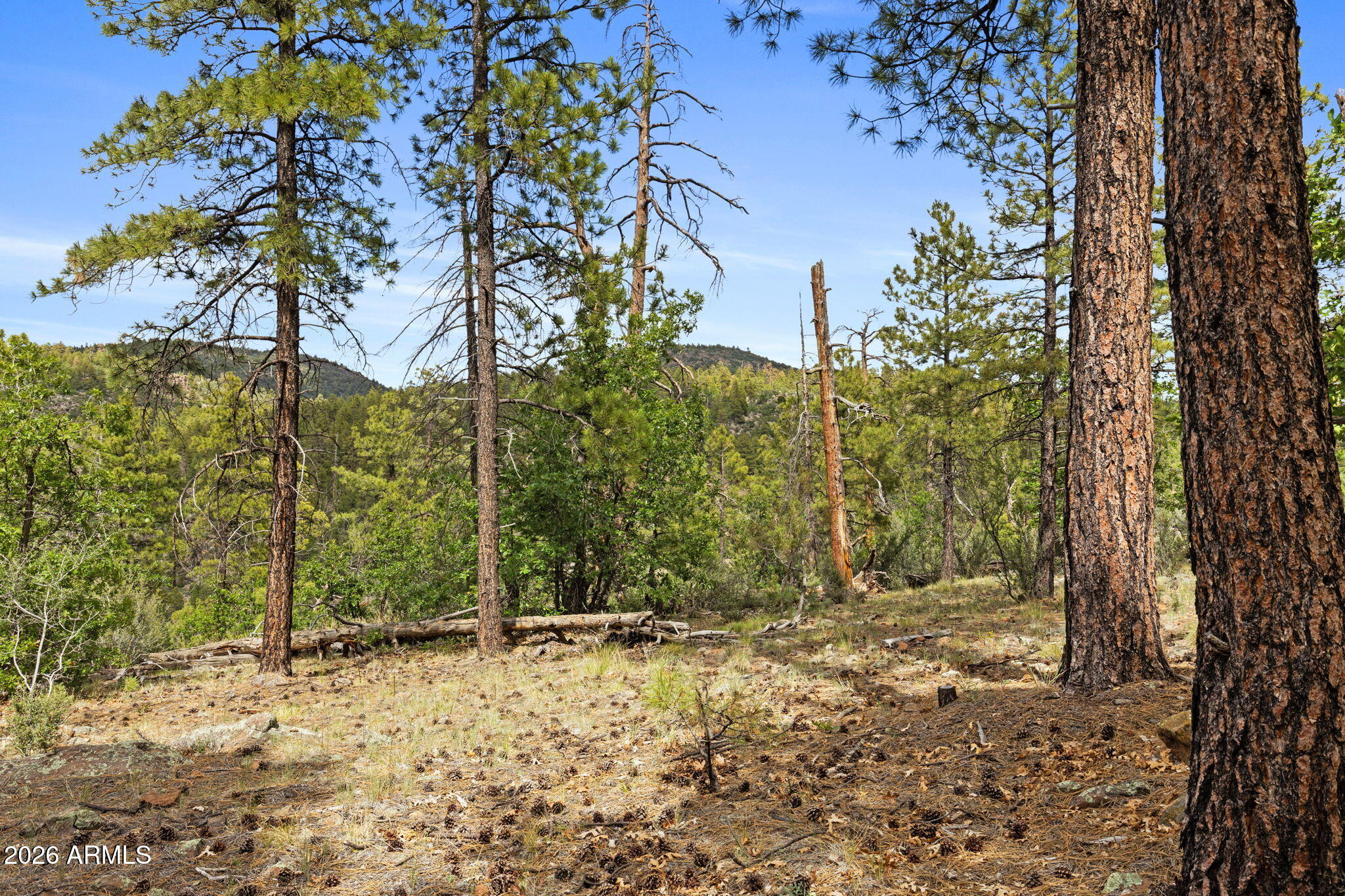 1628 Canyon View Loop, Unit 27 Williams, AZ 86046 - Photo 22 of 27