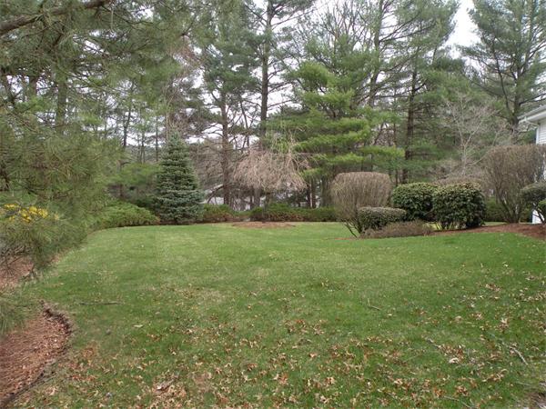 47 Algonquin Road Canton, MA 02021 - Photo 4 of 16 a view of yard with green space