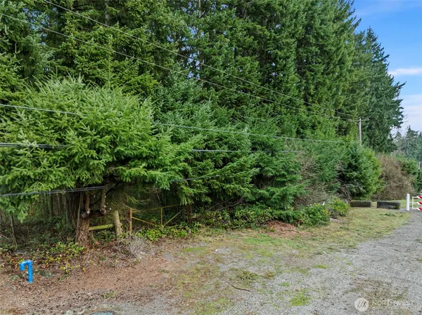 a backyard of a house with plants and wooden fence