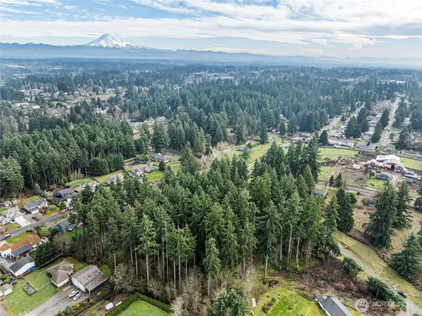 a view of a city with lush green forest