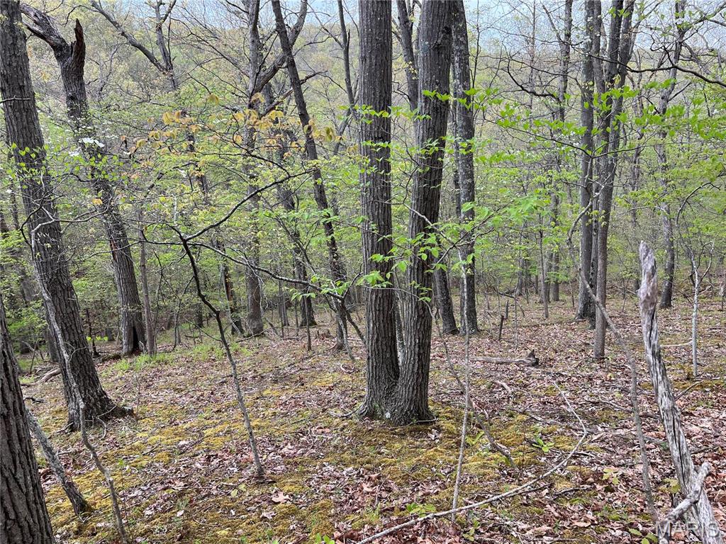 18244 Buckboard Road Wildwood, MO 63069 - Photo 3 of 3