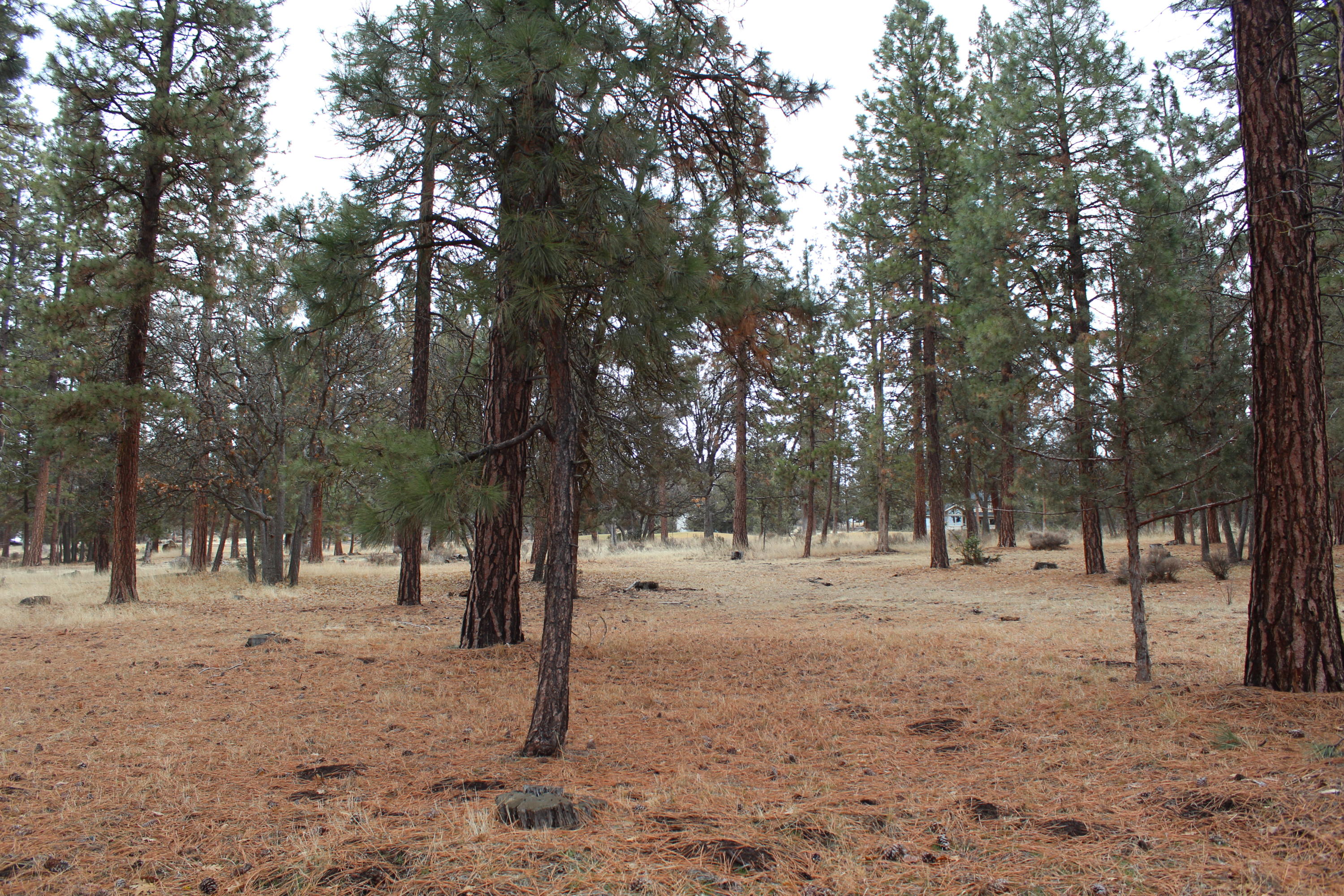 68 Merganser Road, Unit 68 Klamath Falls, OR 97601 - Photo 4 of 6 IMG_0306