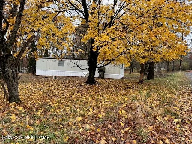 a view of a yard with plants and trees
