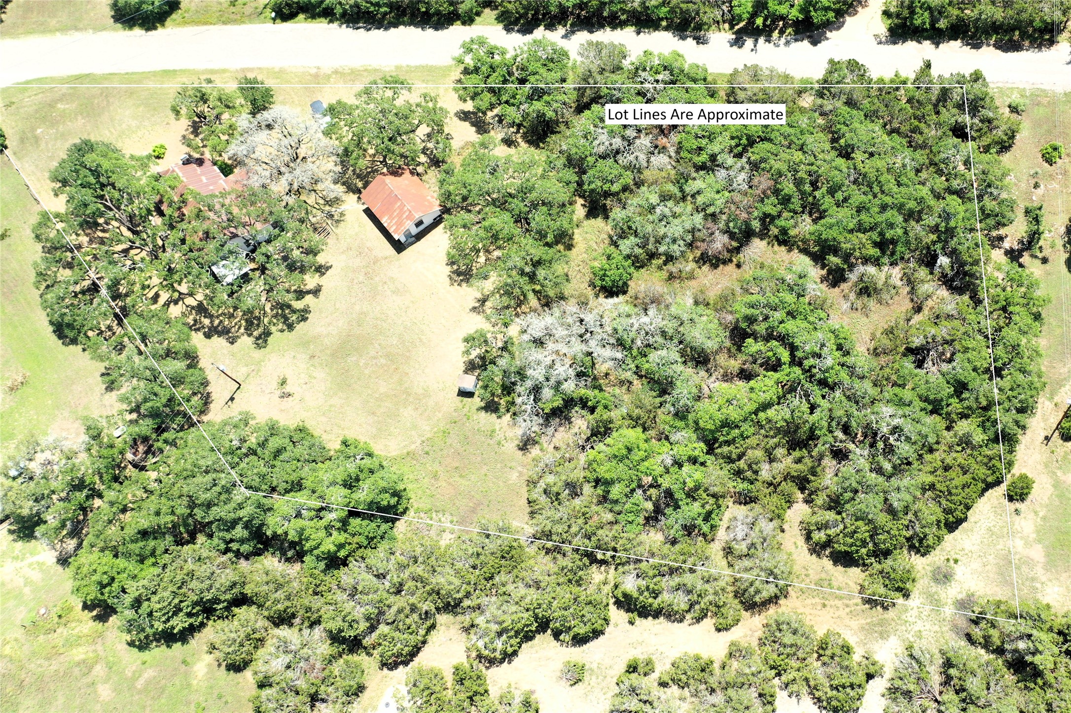 12600 Trail Driver Street Austin, TX 78737 - Photo 11 of 15 a close up of a plant in a garden