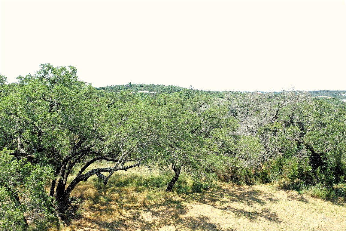 12600 Trail Driver Street Austin, TX 78737 - Photo 12 of 15 a view of a dry yard with trees