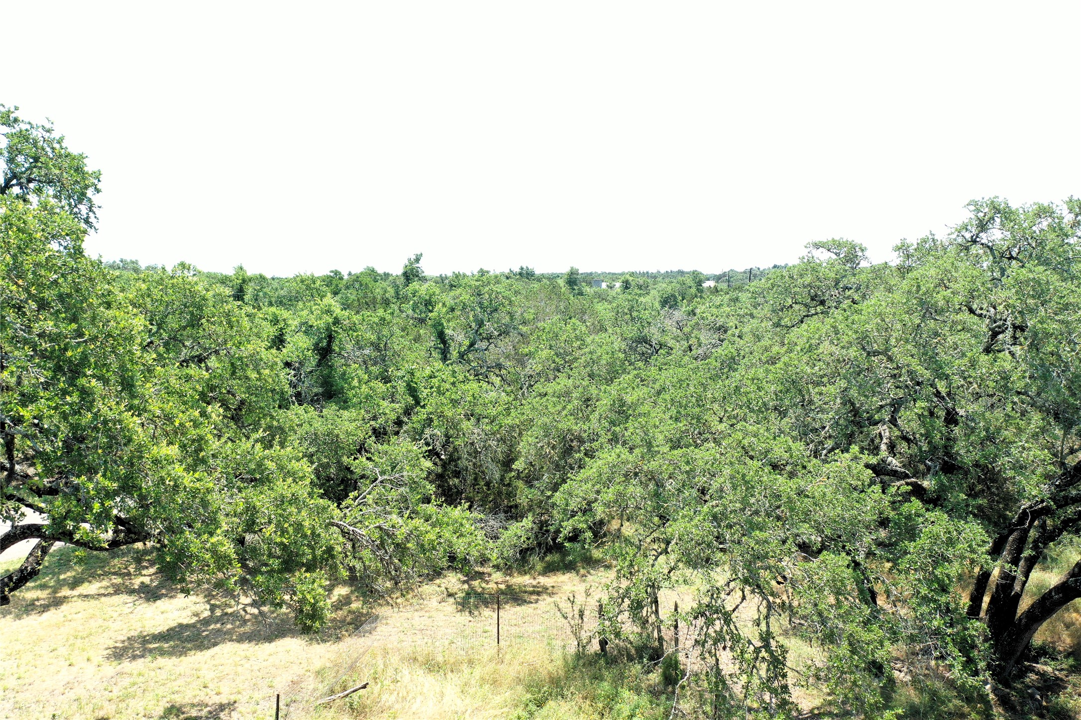 12600 Trail Driver Street Austin, TX 78737 - Photo 13 of 15 a view of a bunch of trees in a field