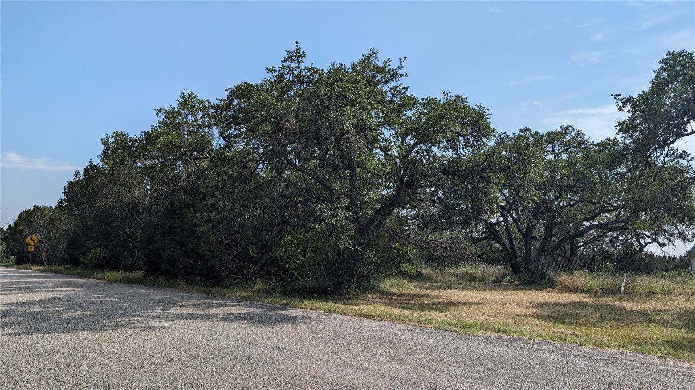 12600 Trail Driver Street Austin, TX 78737 - Photo 15 of 15 a view of a yard with large trees
